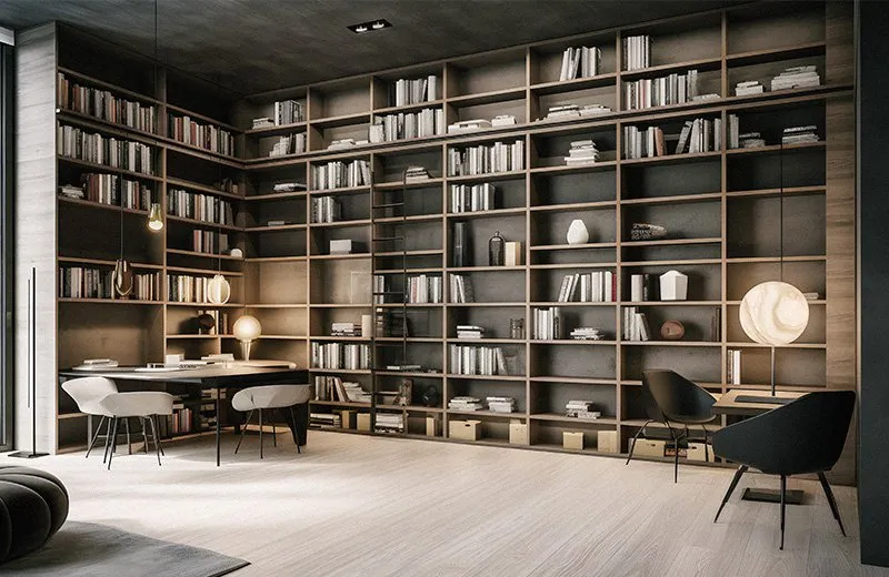 Bookcases & Shelves
