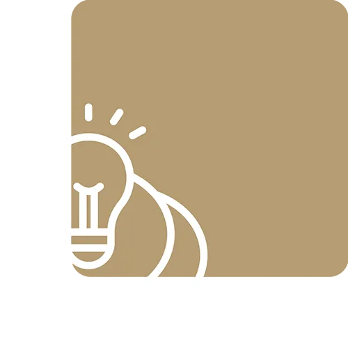 Consultation & concept